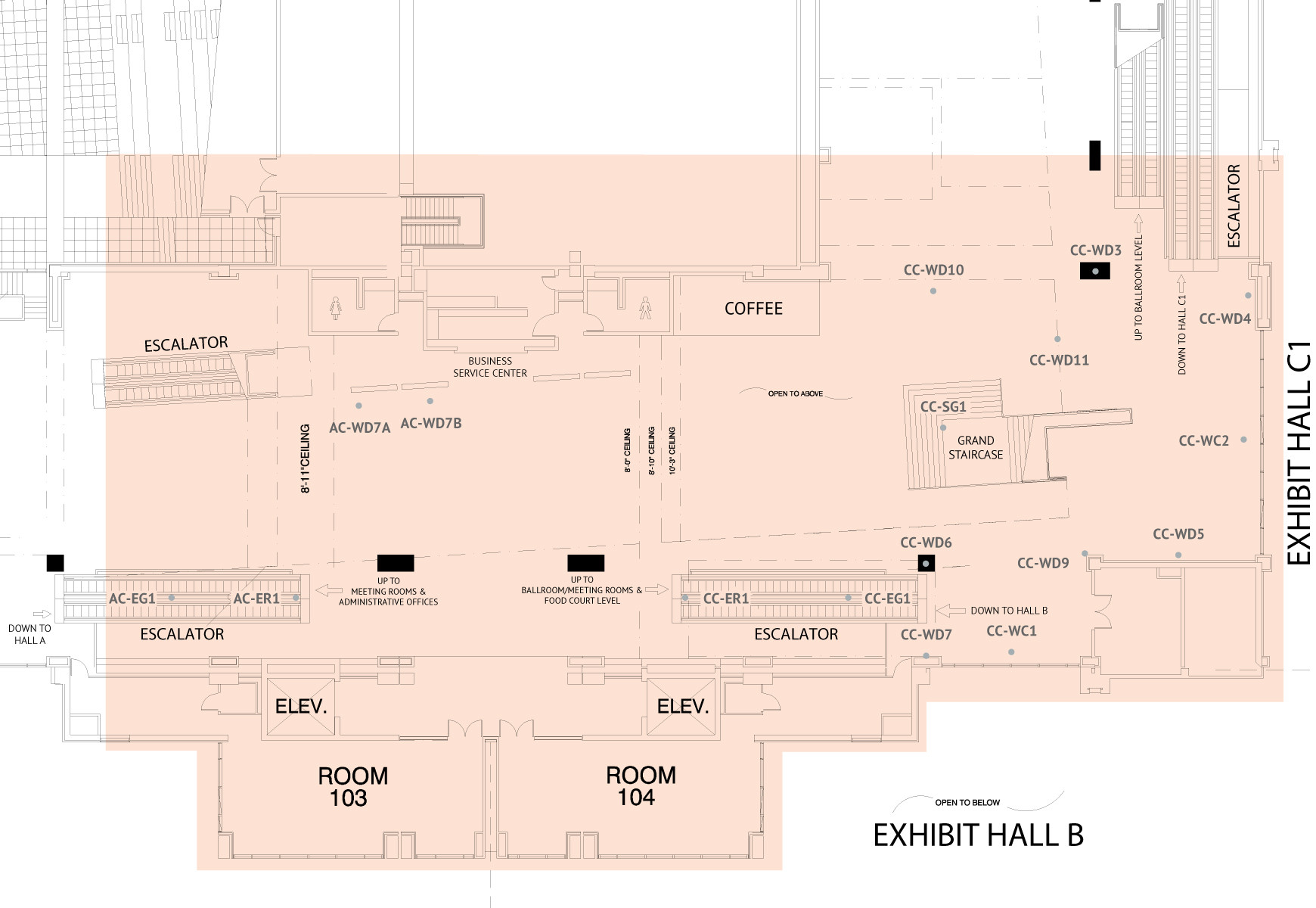 Section 5